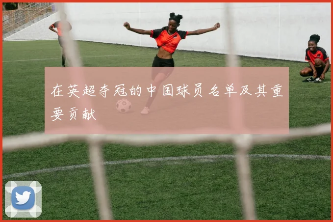 在英超夺冠的中国球员名单及其重要贡献