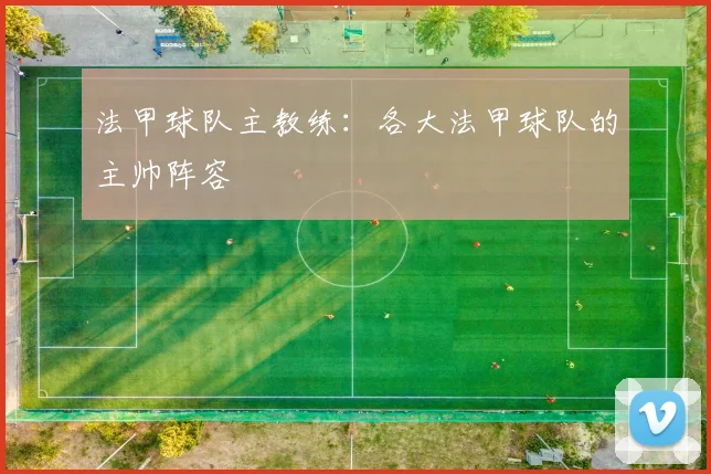 法甲球队主教练:各大法甲球队的主帅阵容