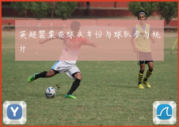 英超罂粟花球衣年份与球队参与统计