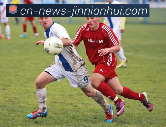 多媒体互动体验